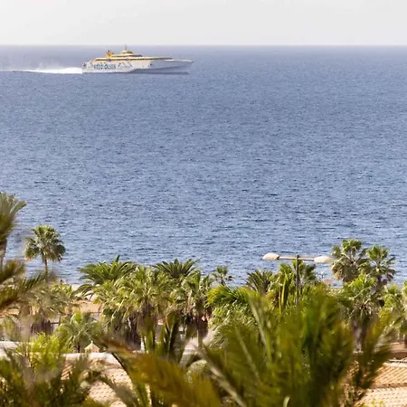 Apartament In Santa Cruz De Tenerife - Insel Teneriffa 42917